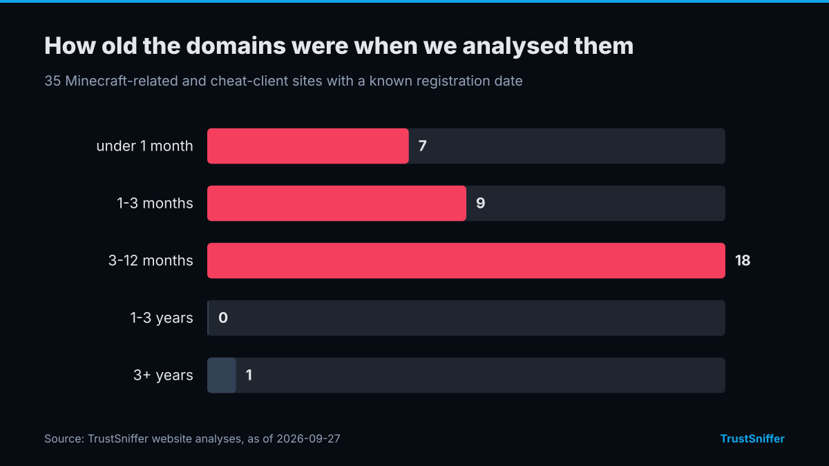 Domain ages of 35 Minecraft-related and cheat-client sites when analysed: 7 under a month, 9 aged 1-3 months, 18 aged 3-12 months, 1 aged 3+ years.