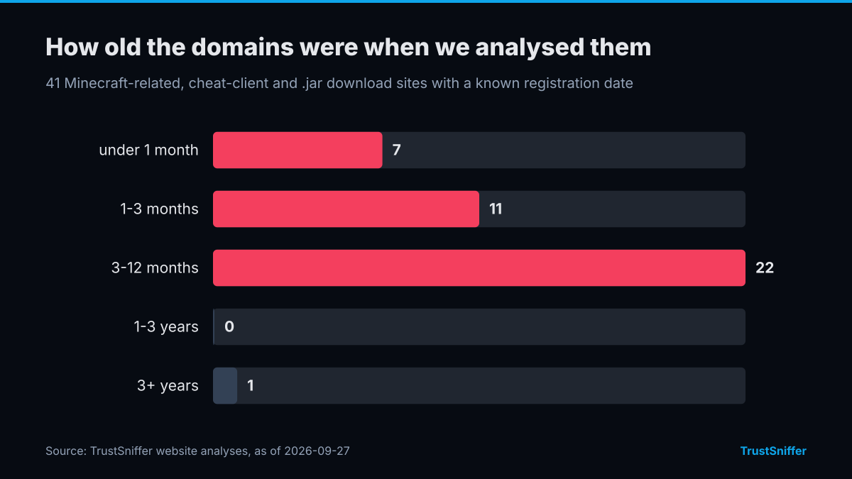 Domain ages of 41 Minecraft-related, cheat-client and .jar download sites when analysed: 7 under a month, 11 aged 1-3 months, 22 aged 3-12 months, 1 aged 3+ years.