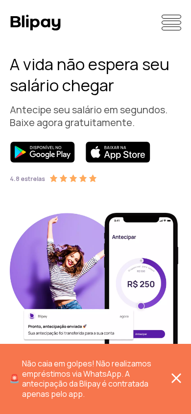Screenshot of blipay.com.br