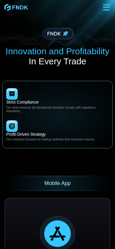 Screenshot of fndk.cc