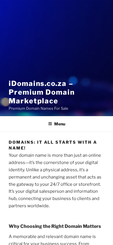 Screenshot of idomains.co.za