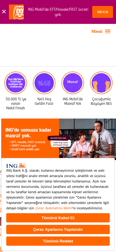 Screenshot of ing.com.tr