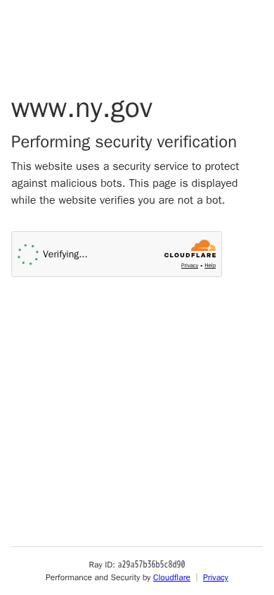 Screenshot of ny.gov