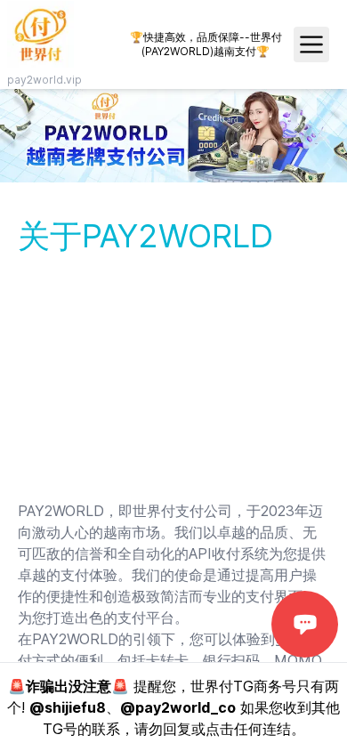 Screenshot of pay2world.vip
