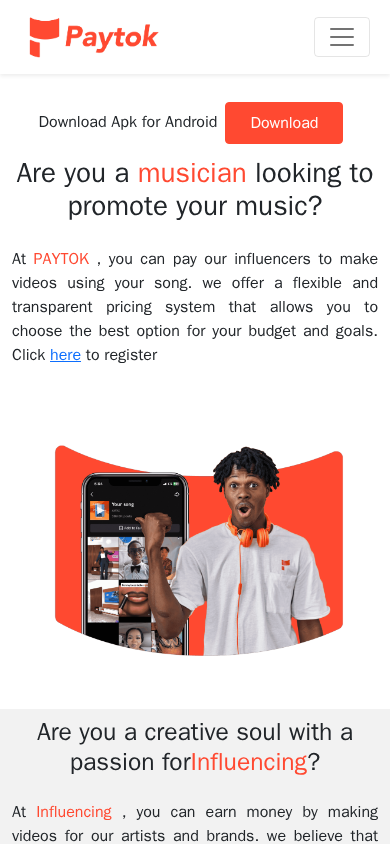 Screenshot of paytok.com.ng
