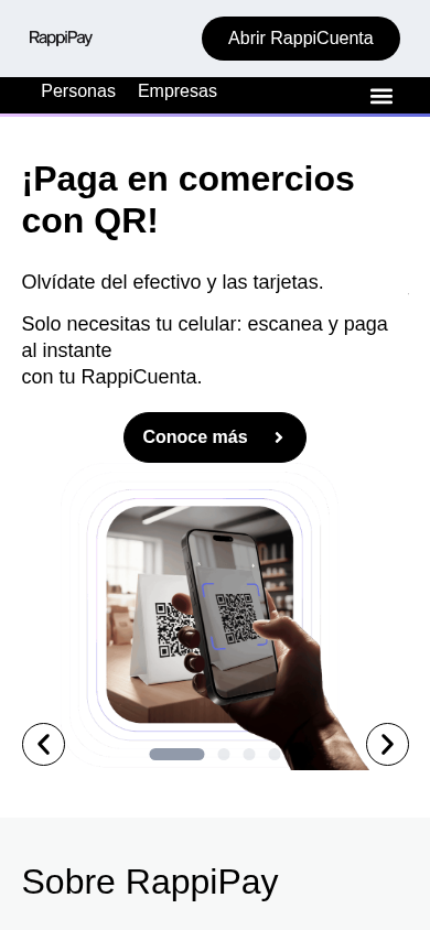 Screenshot of rappipay.co