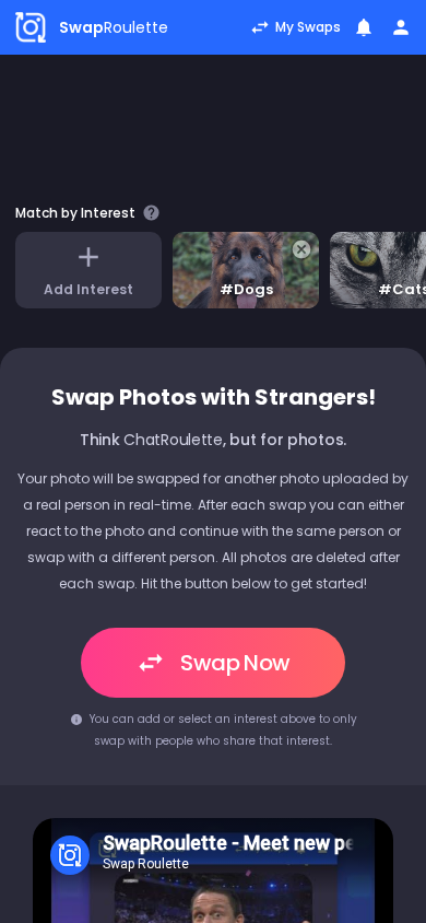 Screenshot of swaproulette.co