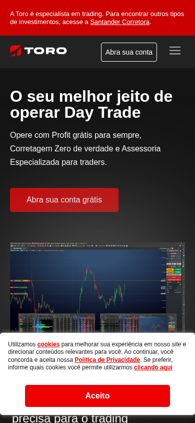 Screenshot of toroinvestimentos.com.br